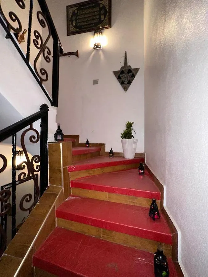 Dinosaur Anza Surf House Hostel Agadir