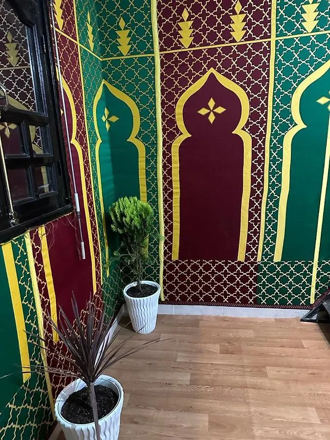Dinosaur Anza Surf House Hostel Agadir Morocco